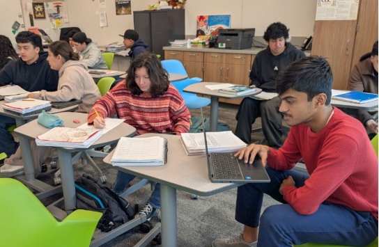 How does AP Spanish benefit both native and non-native speakers?