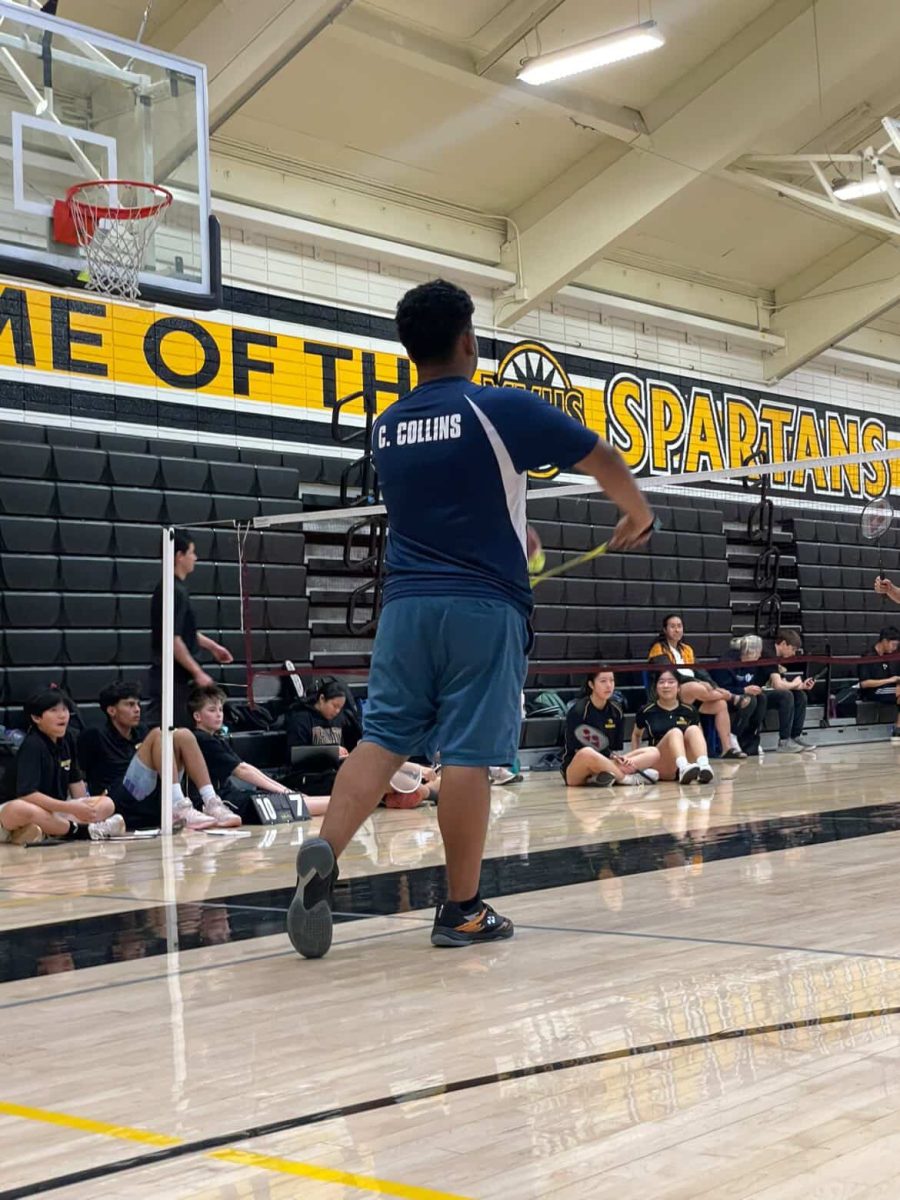 Badminton team at Kathleen Macdonald High continues to grow
